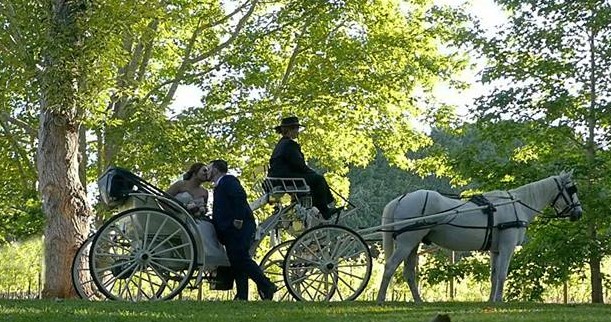 Champagne Wedding Carriages with horses, and bride and groom
