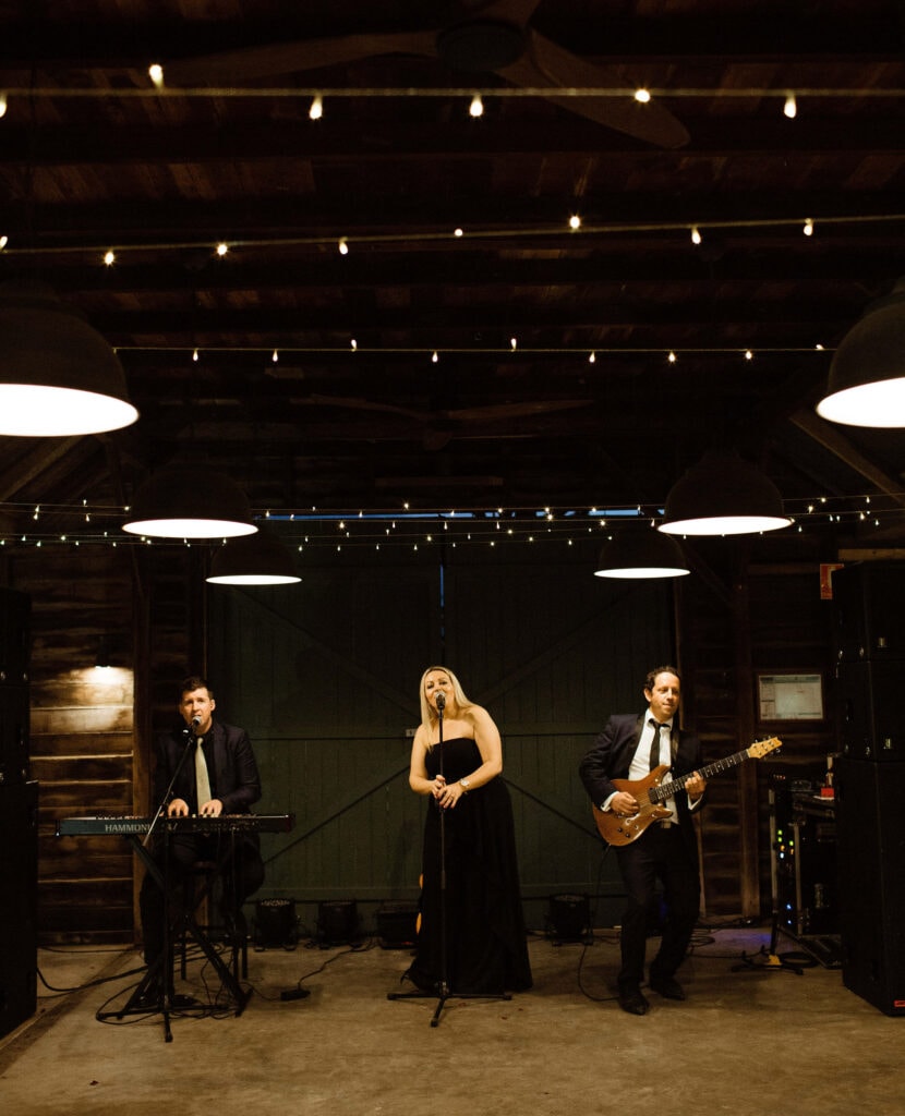 Bassline Studios Band performing at a wedding